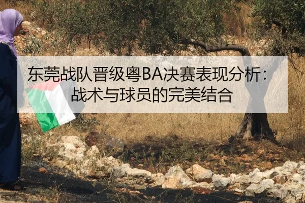 东莞战队晋级粤BA决赛表现分析：战术与球员的完美结合
